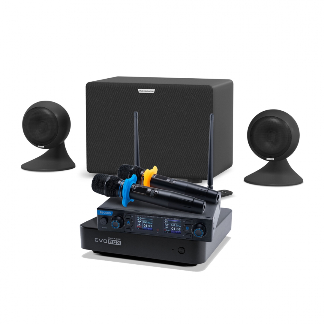 караоке-комплект EVOBOX + EvoSound Sphere 2.1 в Прокопьевске