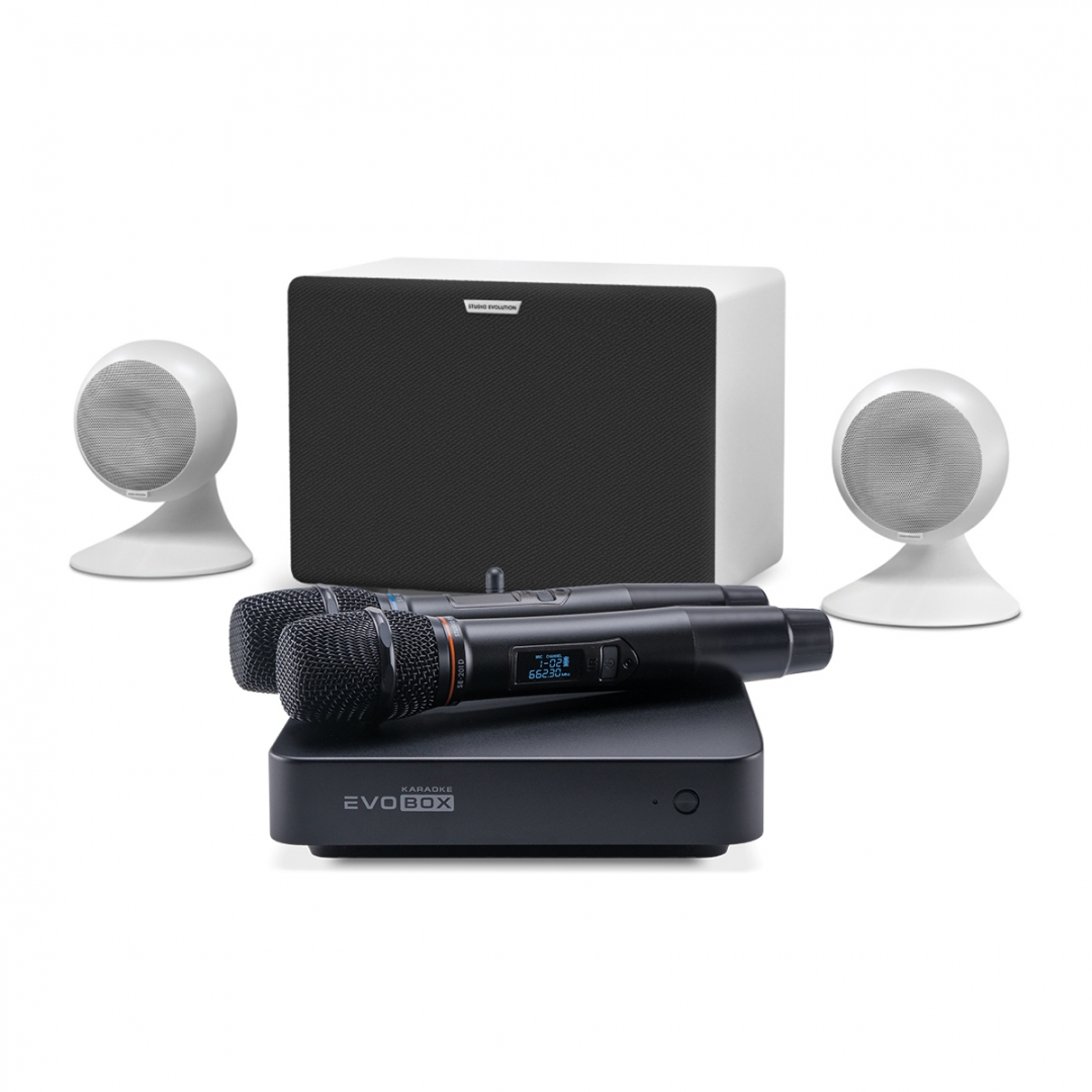караоке-комплект EVOBOX Classic + EvoSound Sphere 2.1 в Прокопьевске