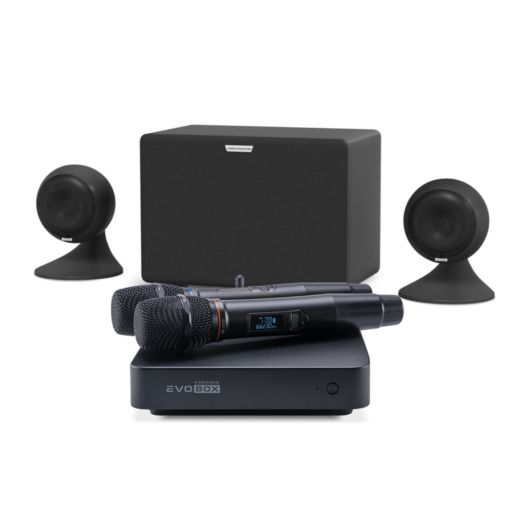 караоке-комплект EVOBOX Plus + EvoSound Sphere 2.1 в Прокопьевске