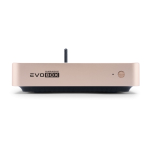 EVOBOX Classic караоке-система для дома в Прокопьевске