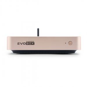 EVOBOX Plus караоке-система для дома в Прокопьевске