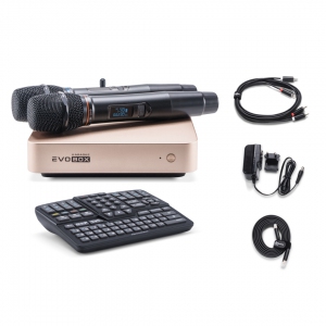 EVOBOX Plus караоке-система для дома в Прокопьевске