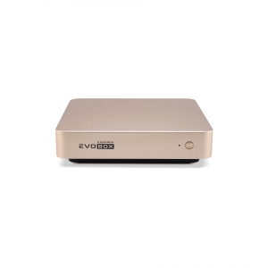EVOBOX с микрофонами в Прокопьевске